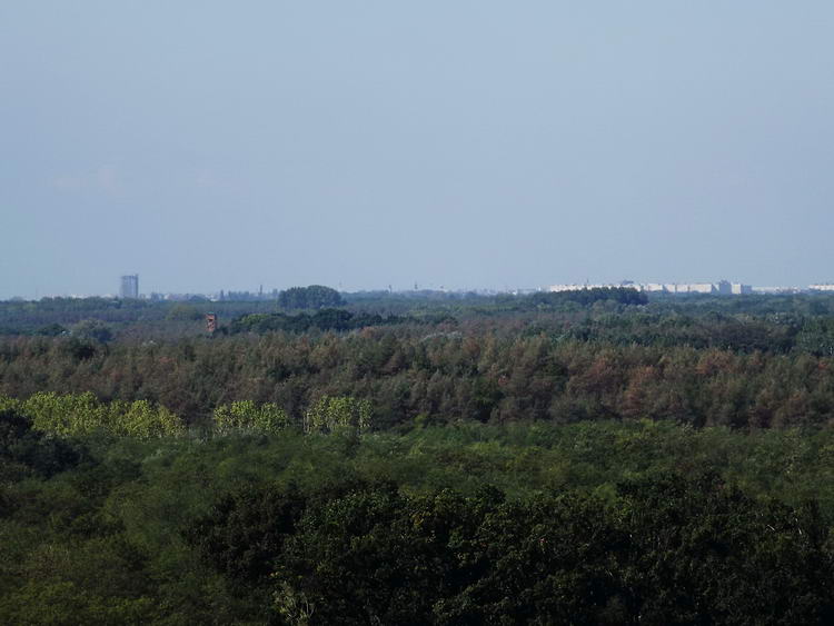 Kilátás a távoli Debrecenre a torony legfelső szintjéről
