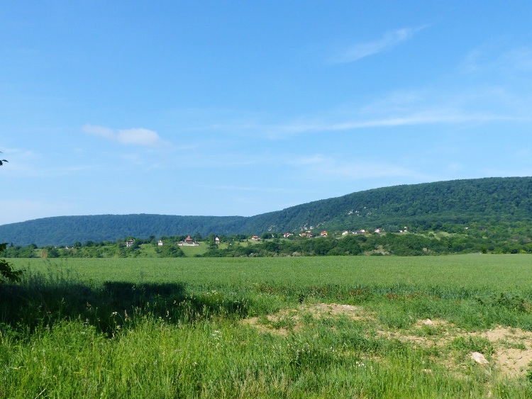 A mezőről már látható Vértestolna néhány háza is, de a falu nagy része megbújik a völgyben