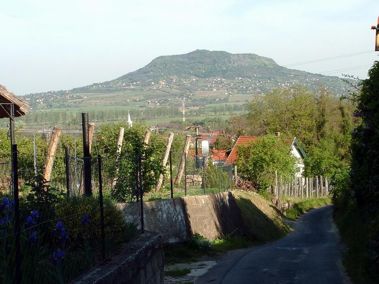 Kilátás a Szent György-hegyre a Badacsony oldalából
