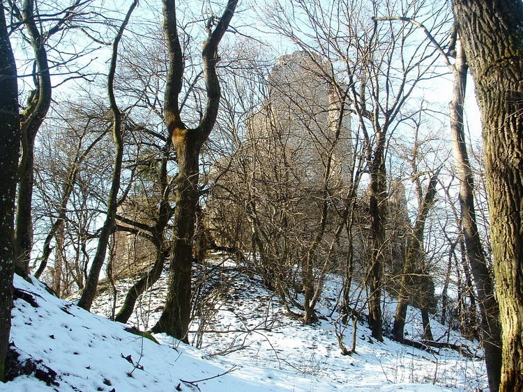 Abandoned walls in the forest: it is Vitányvár castle