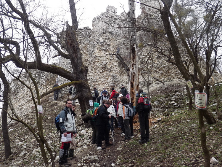 A bigger hiker team at the ruins of Vitányvár Castle
