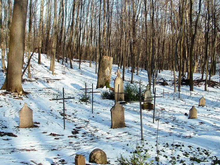 A Körtvélyespusztai öreg temető 2.