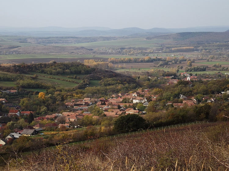 View towards Kesztölc village from the mountainside