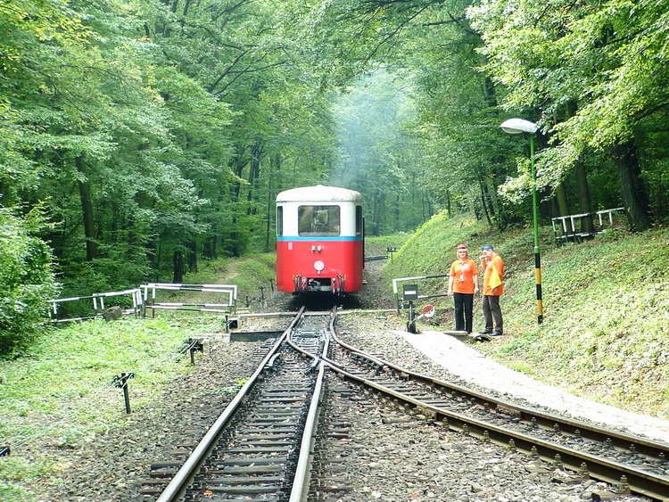Railway line into the forest