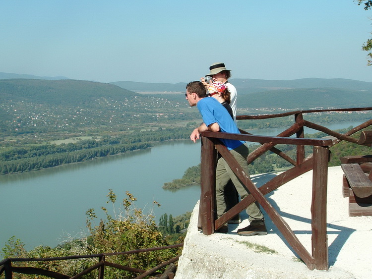 The panorama of Danube taken from the wall of the castle