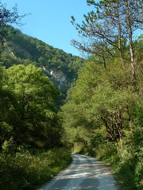 The asphalt road leads in a narrow valley towards Uppony-village
