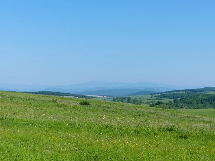 Panorama to the Slovakian mountains across the pasture