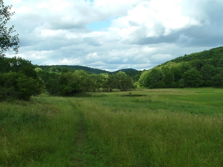 The wide meadows of the plateau