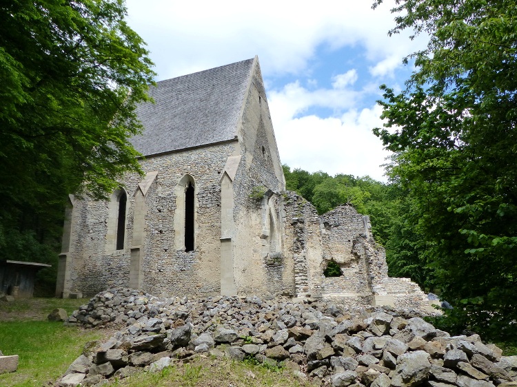 The ruins of the medieval Martonyi Monastery