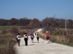 Teljesítménytúrázók a Csobánkai-nyereg széles földútján