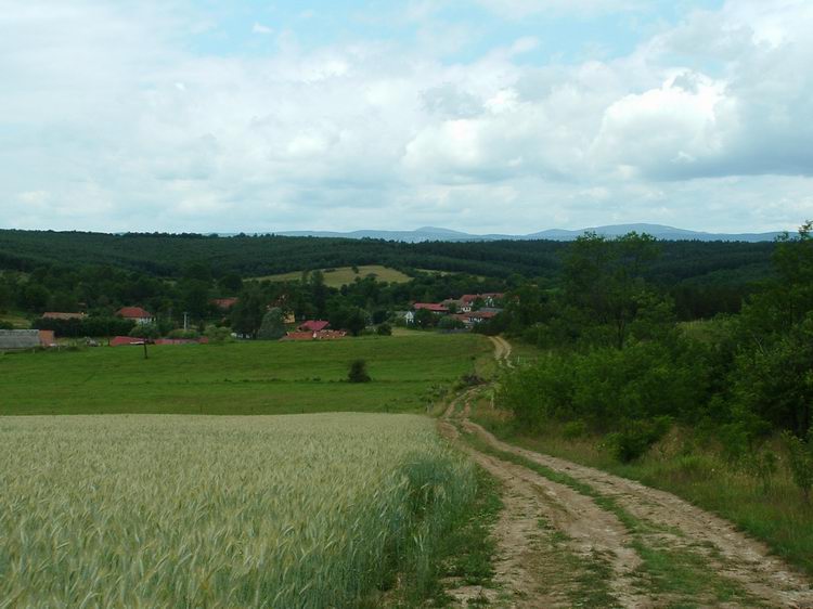 The view of Tornabarakony from the hill
