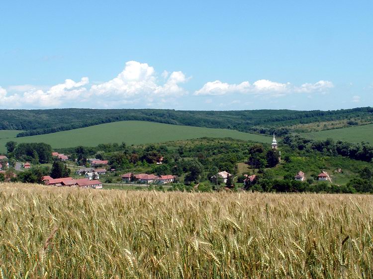 View of Abaújszolnok village from the hills