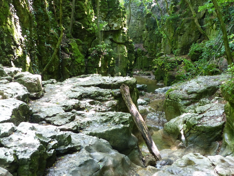 The gorge of Gaja Creek